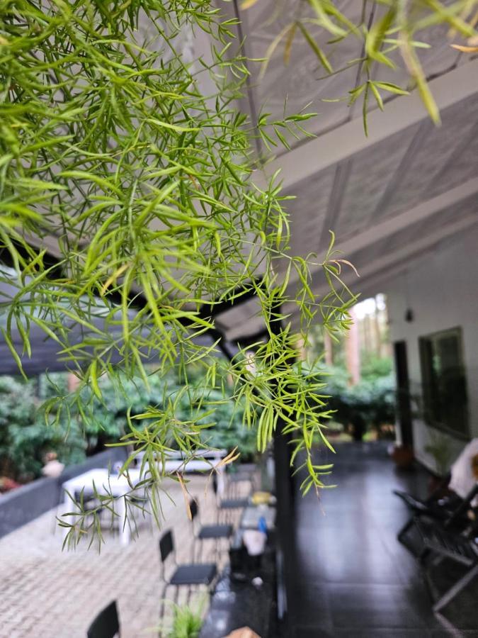Benomadic Eco Hostel, Madikeri, Coorg Suntikoppa 外观 照片