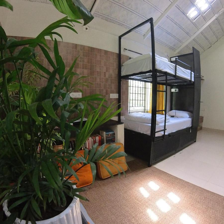 Benomadic Eco Hostel, Madikeri, Coorg Suntikoppa 外观 照片