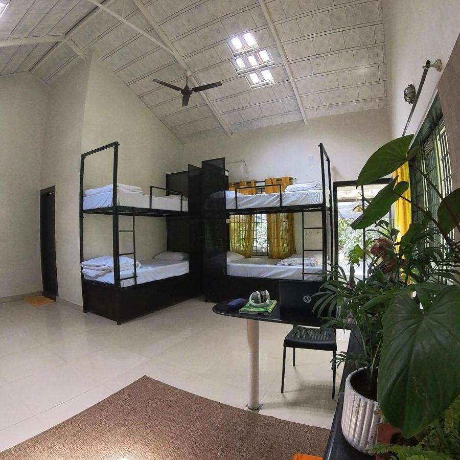 Benomadic Eco Hostel, Madikeri, Coorg Suntikoppa 外观 照片