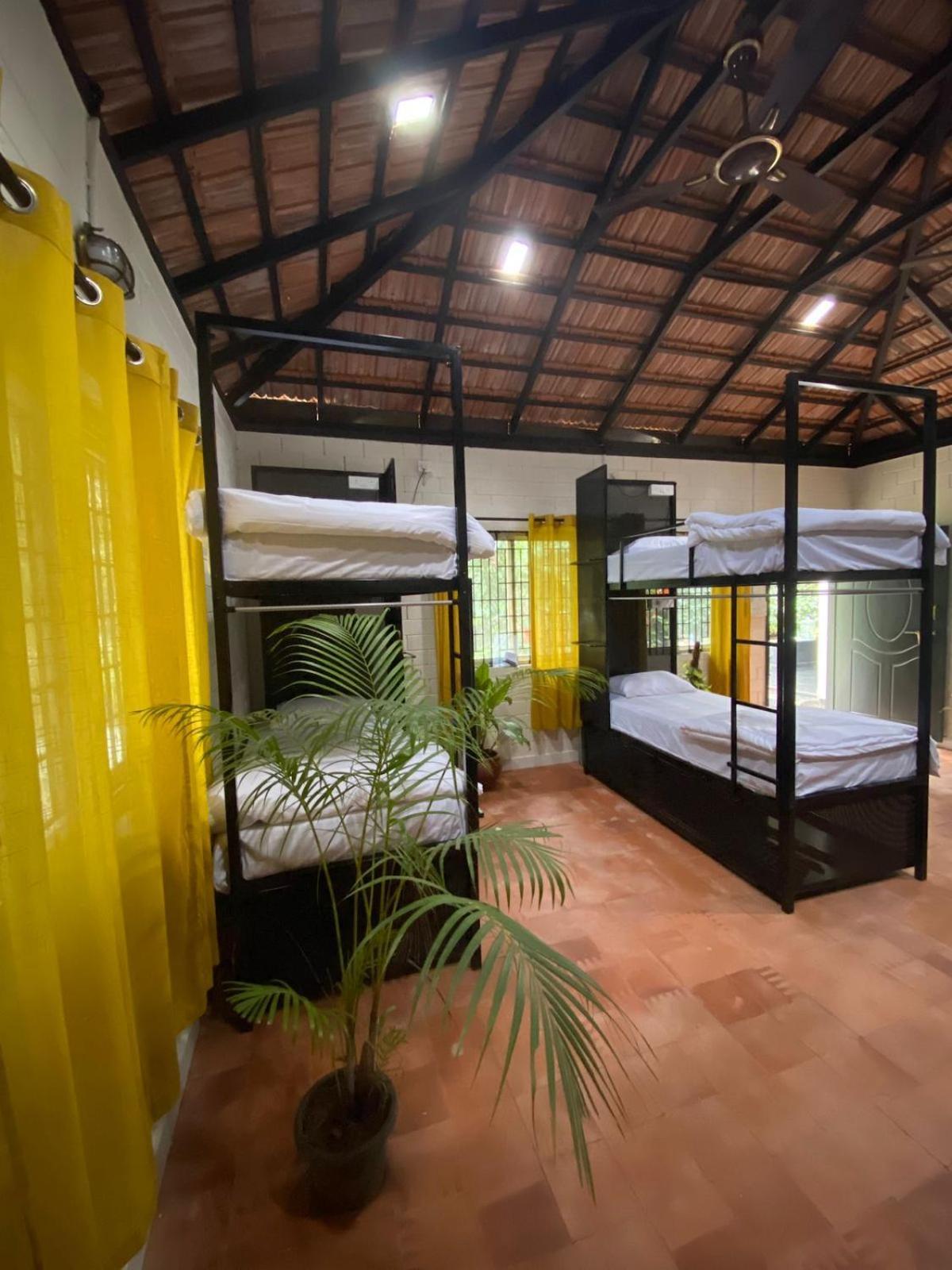 Benomadic Eco Hostel, Madikeri, Coorg Suntikoppa 外观 照片