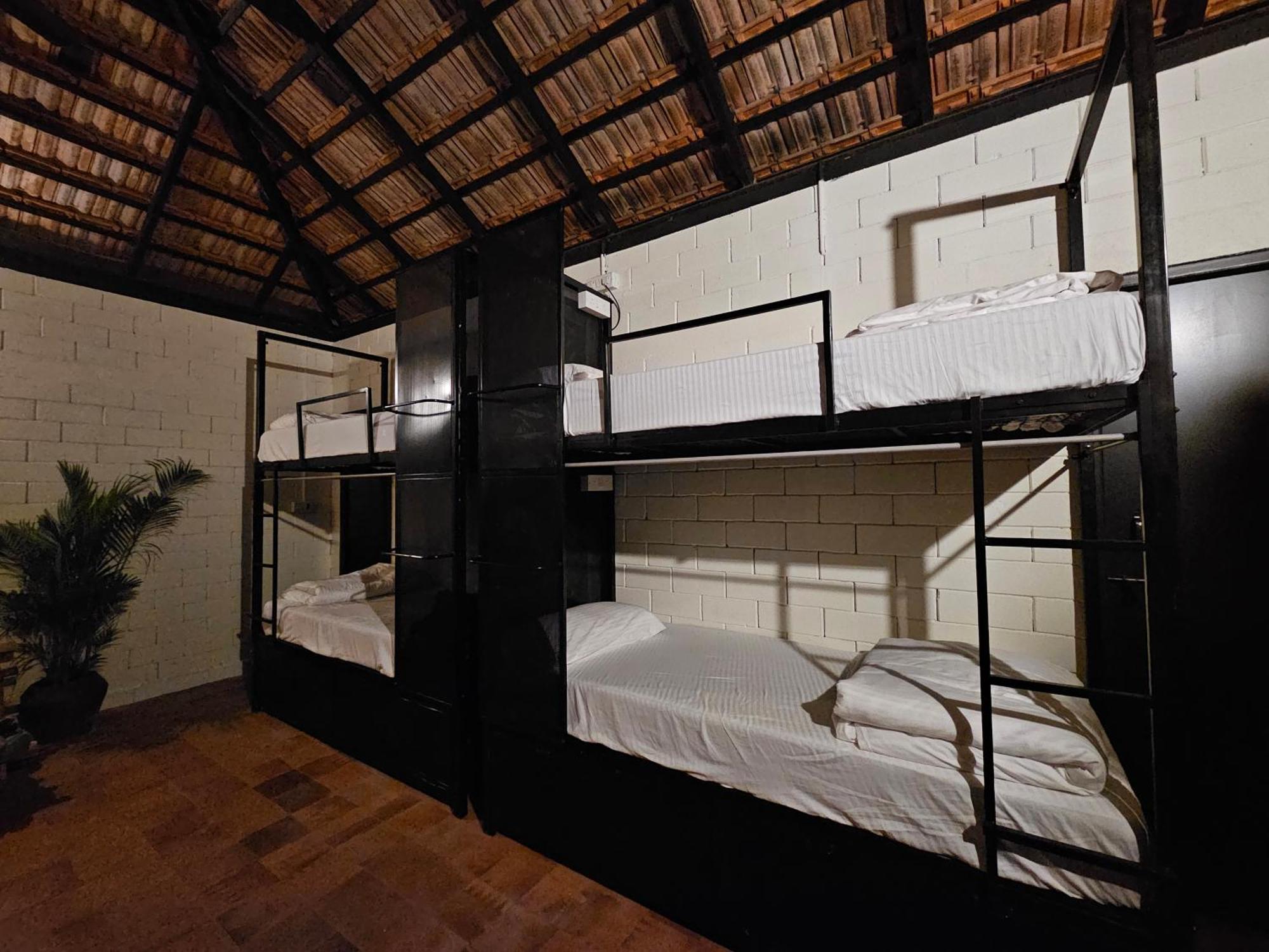 Benomadic Eco Hostel, Madikeri, Coorg Suntikoppa 外观 照片